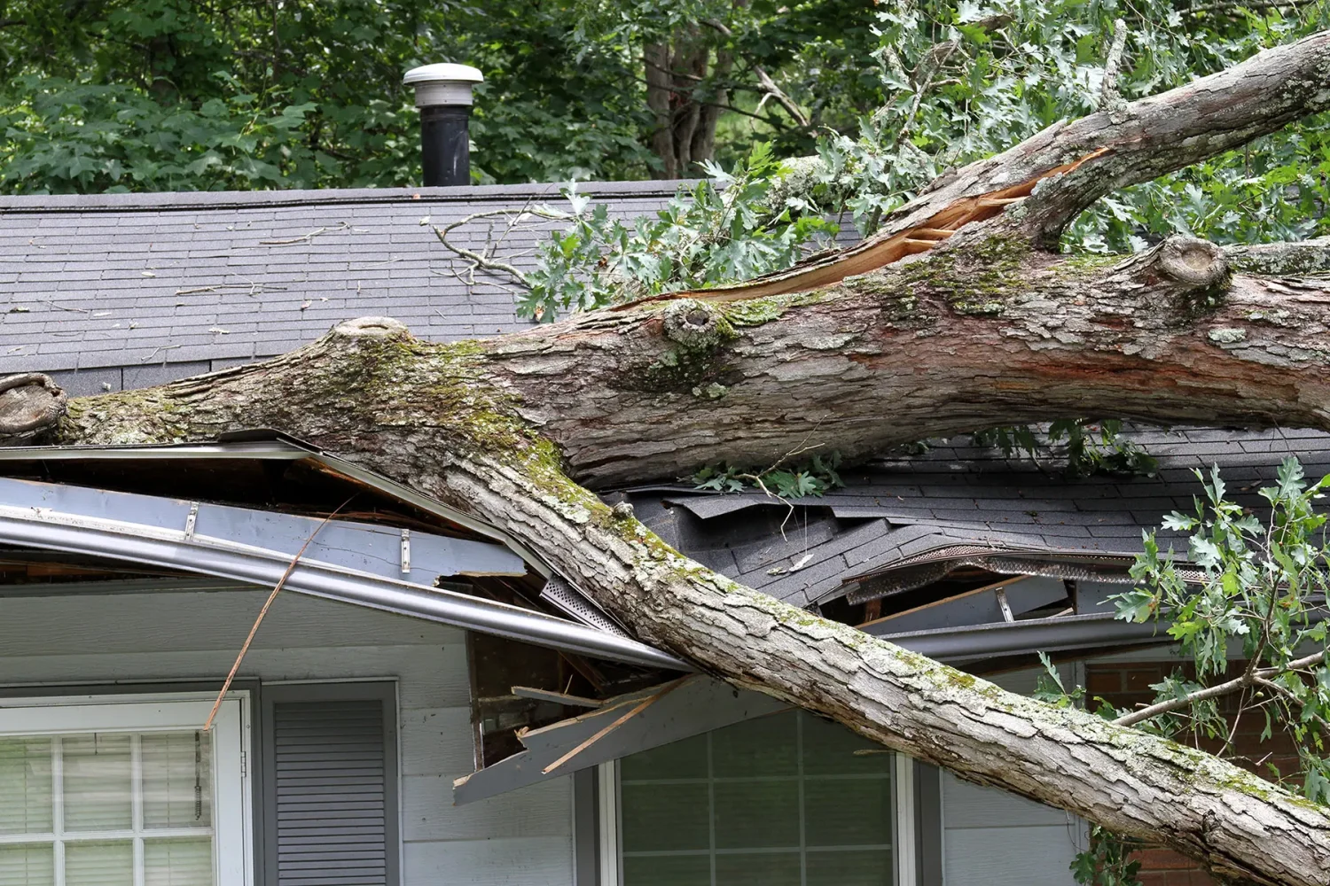 tree-falls-on-roof-maryland